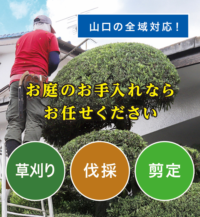 �c�z�{���ő�����E����E���̂Ȃ�u����̑叫�v